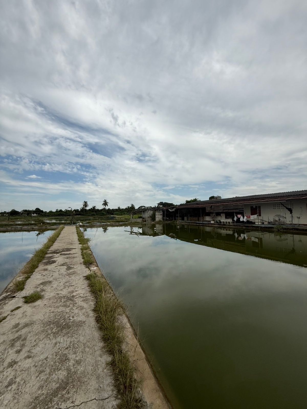 ขายที่ดินราชบุรี : ขายที่ดินพร้อมบ้านเดี่ยว 2 ชั้น 