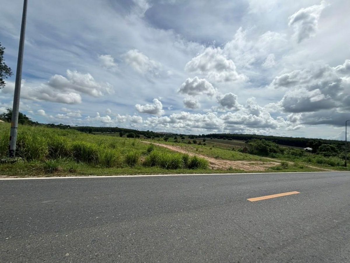 ขายที่ดินระยอง : ขายที่ดินแปลงสวย ติดถนนซอย 11 นิคมพัฒนา ระยอง 10ไร่ 1งาน 20ตร.ว.