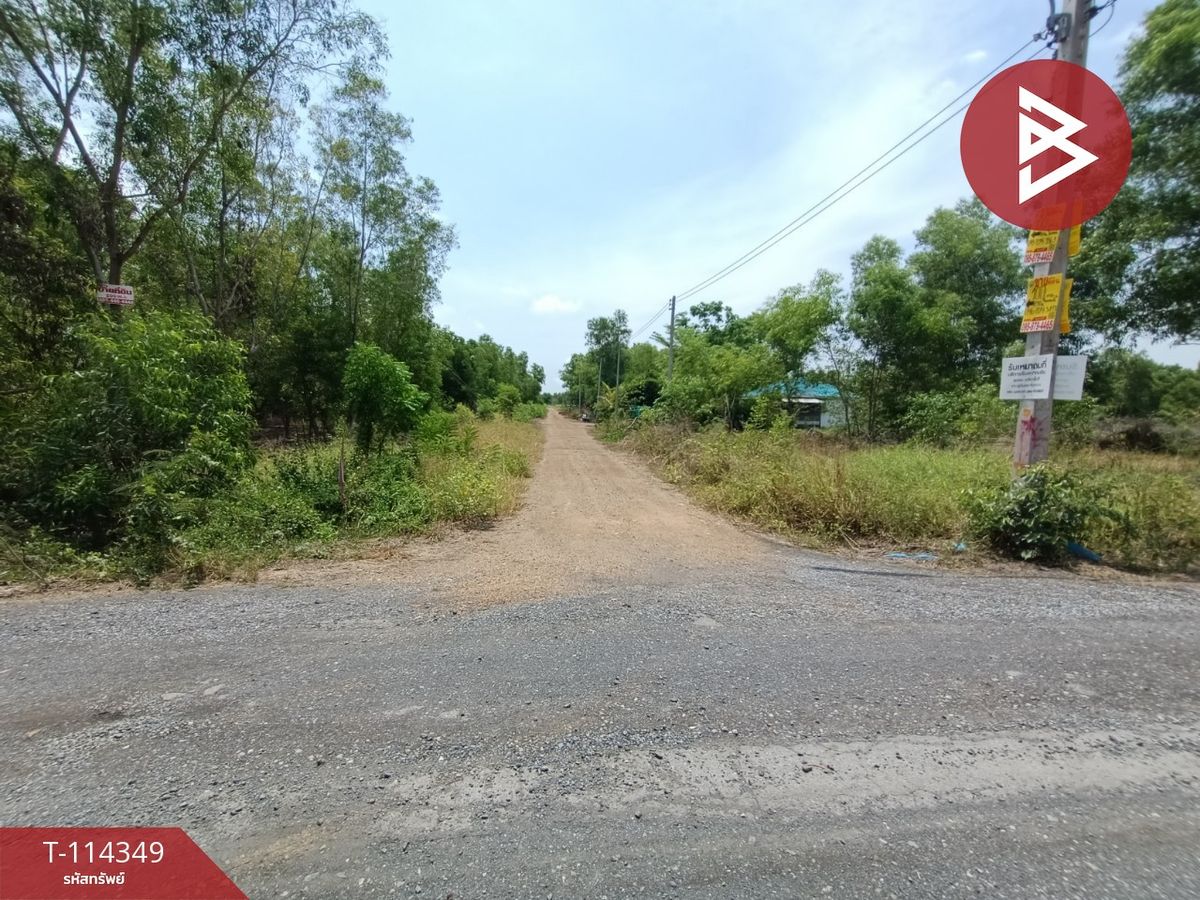 ขายที่ดินปทุมธานี รังสิต ธรรมศาสตร์ : ขายที่ดิน เนื้อที่ 3 งาน คลองหลวง ปทุมธานี