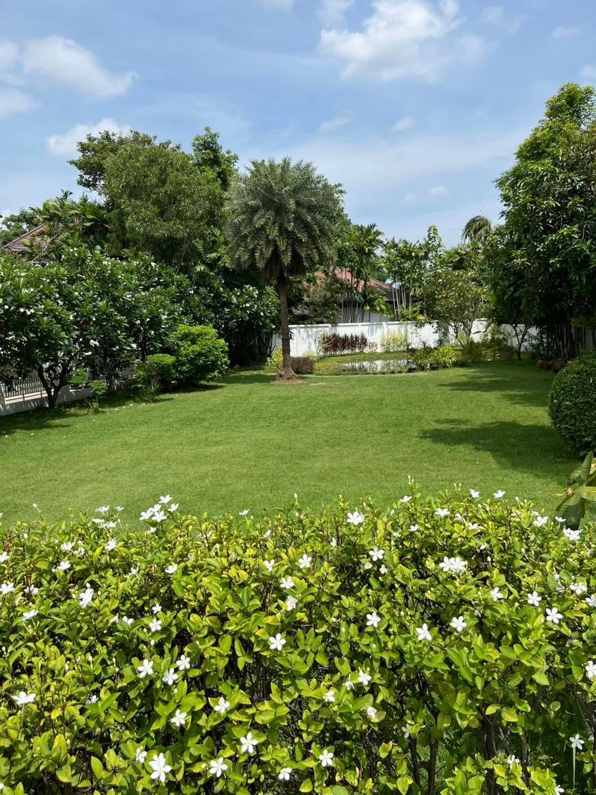 For SaleHouseSamut Prakan,Samrong : Single house with land, Village, Mill / 7 Bedrooms (Sale), Windmill Village / House Land 7 Bedrooms (For Sale) AIM003