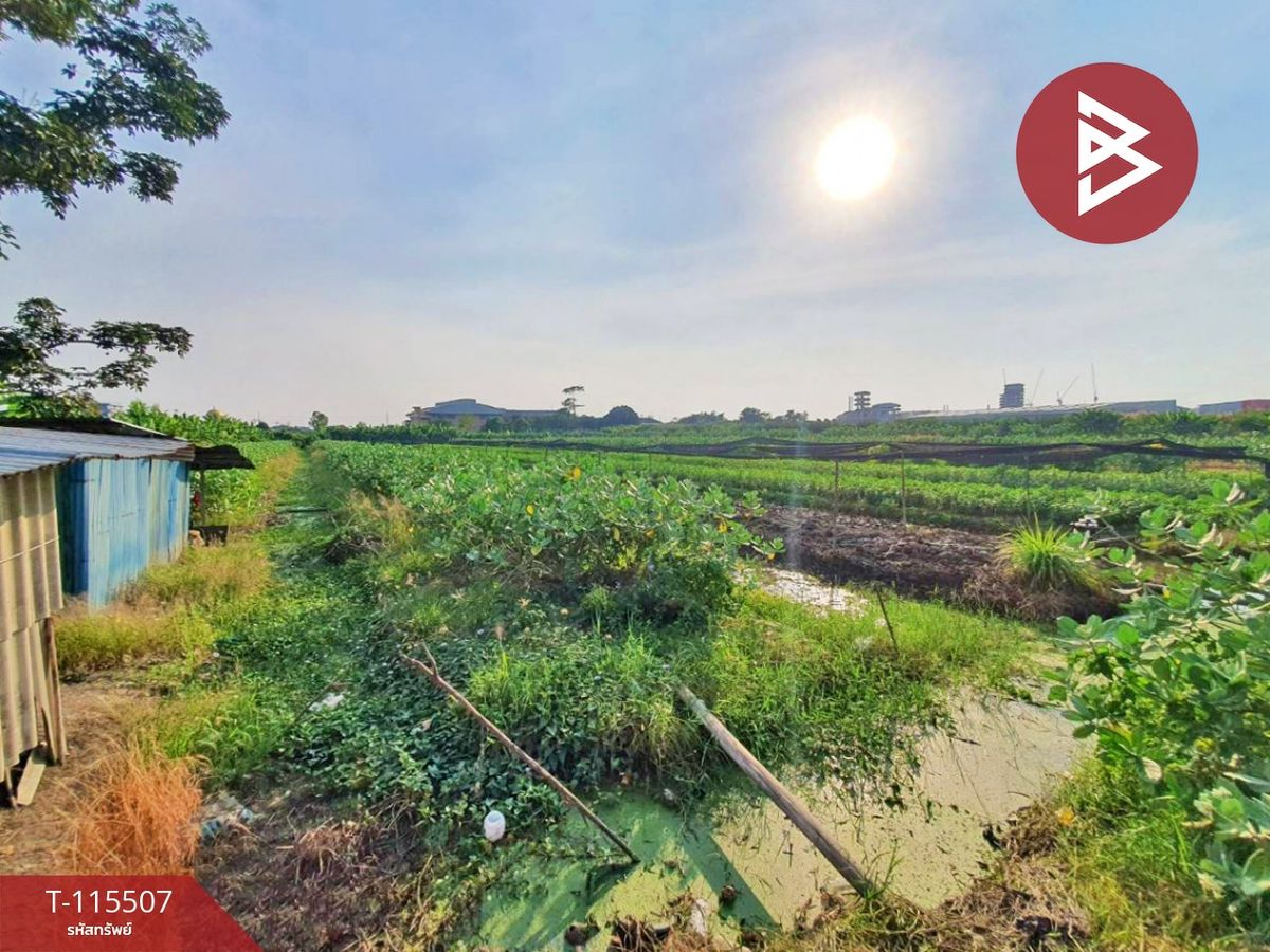 For SaleLandMahachai Samut Sakhon : Land for sale, area of ​​3 rai 2 ngan 41 square wah, Krathum Baen Samut Sakhon