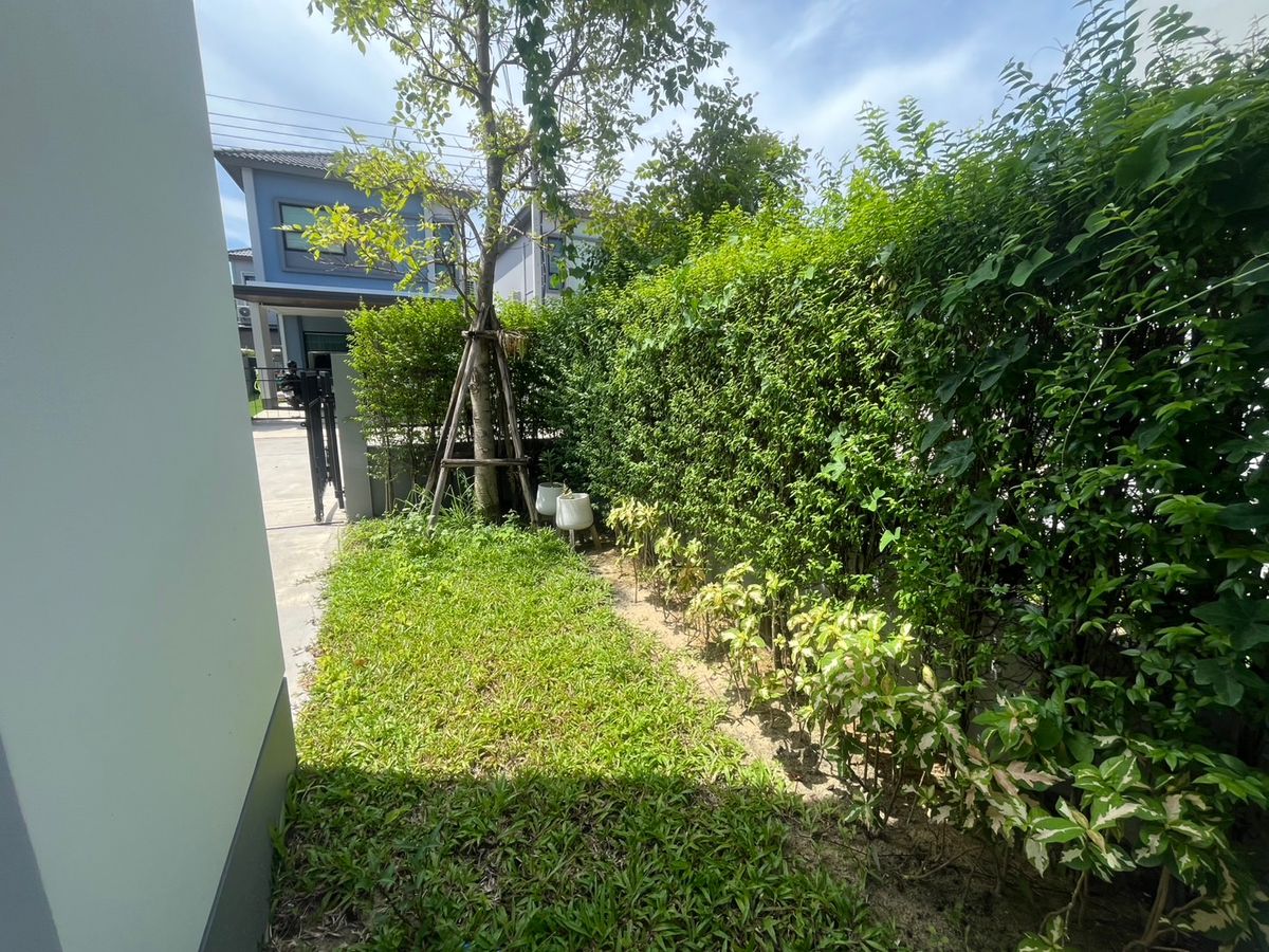 For SaleHousePhutthamonthon, Salaya : Kanasiri Salaya - Pinklao / 4 Bedrooms (Sale), Kanasiri Salaya - Pinklao / 4 Bedrooms (For Sale) BALL085