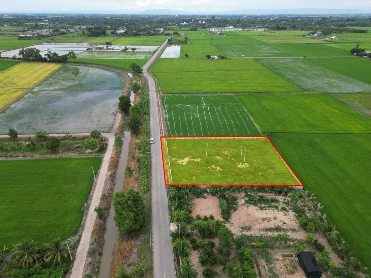 ขายที่ดินพิษณุโลก : ขายที่ดินถมแล้ว 1 ไร่ 2 งาน ใกล้ มหาวิทยาลัยนเรศวร