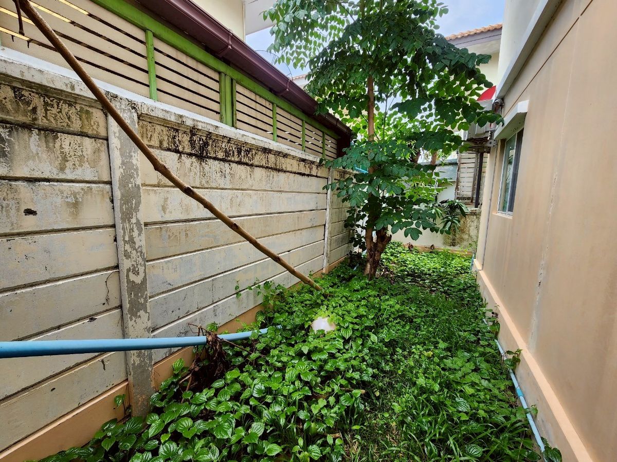 ขายบ้านมหาชัย สมุทรสาคร : บ้านเดี่ยว โครงการพฤกษาวิลเลจ 6 พระราม 2 - บางขุนเทียนชายทะเล บ้านพร้อมอยู่ ทำเลหน้าสวน ขนาด 50 ตารางวา 3 ห้องนอน ตำบลพันท้ายนรสิงห์ อำเภอเมืองสมุทรสาคร จังหวัดสมุทรสาคร