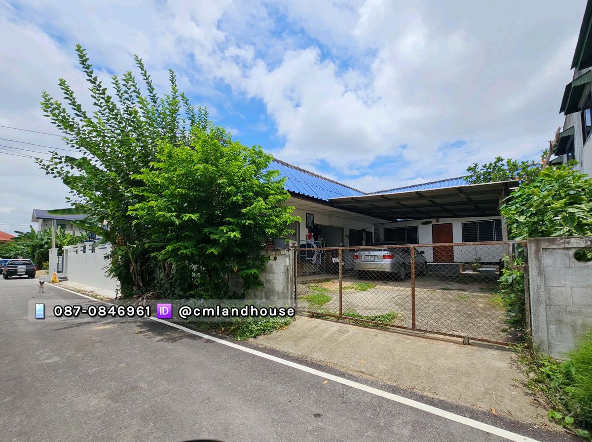 ขายบ้านเชียงใหม่ : ขายที่ดิน อ.เมือง 54 ตรว. แถมบ้านและห้องเช่าเก่า ใกล้เซ็นทรัลแอร์พอร์ต 2 กม. สนามบิน 3 กม. ถูกกว่าที่เปล่า ถูกกว่าคอนโด น้ำไม่ท่วม