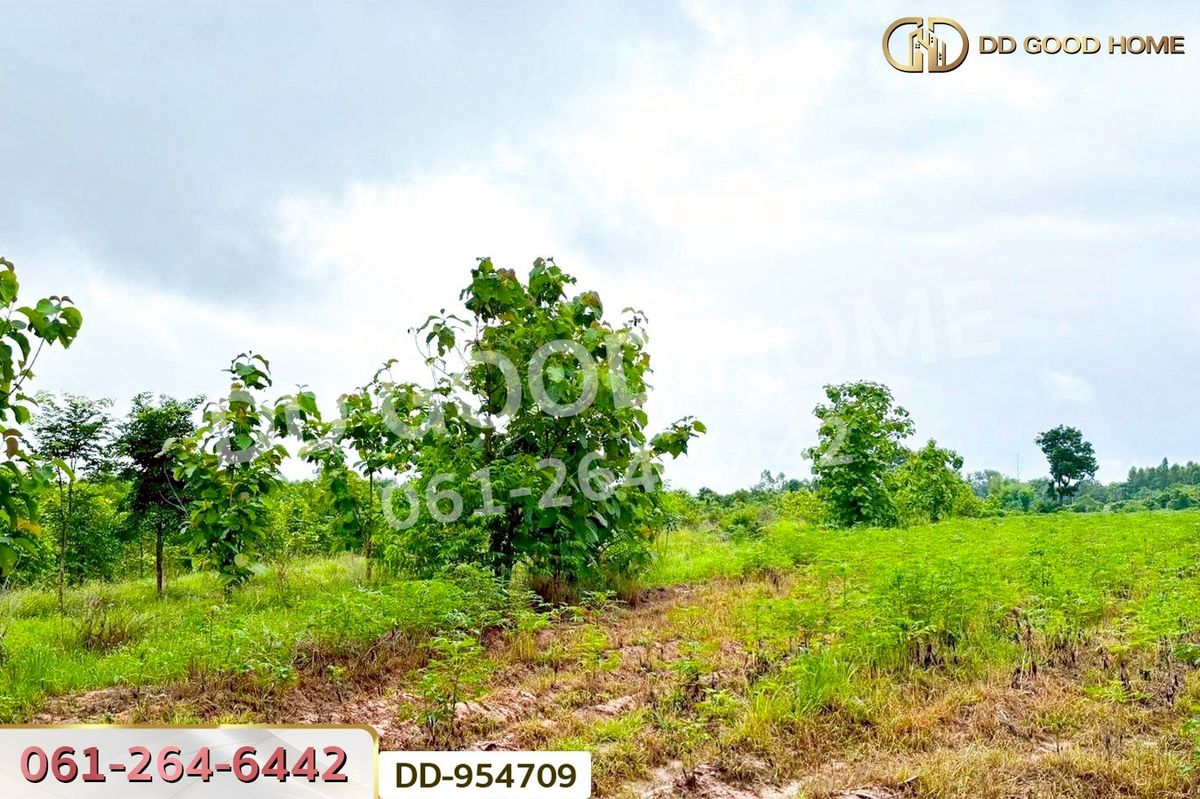 ขายที่ดินสระแก้ว : DD-954709 ที่ดินศาลาลำดวน 3 ไร่ 69.5 ตร.ว. สระแก้ว ใกล้โรงเรียนบ้านท่าช้าง