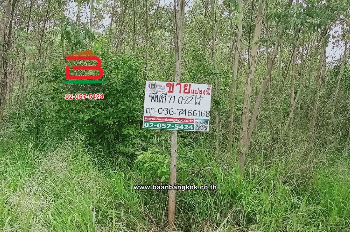 ขายที่ดินพัทยา บางแสน ชลบุรี สัตหีบ : ที่ดินเปล่า ตำบลท่าบุญมี (สี่แยกเกาะโพธิ์) เนื้อที่ 71-0-22 ไร่ (ใกล้อ่างเก็บน้ำคลองหลวงรัชชโลทร) ตำบลท่าบุญมี อำเภอเกาะจันทร์ จังหวัดชลบุรี