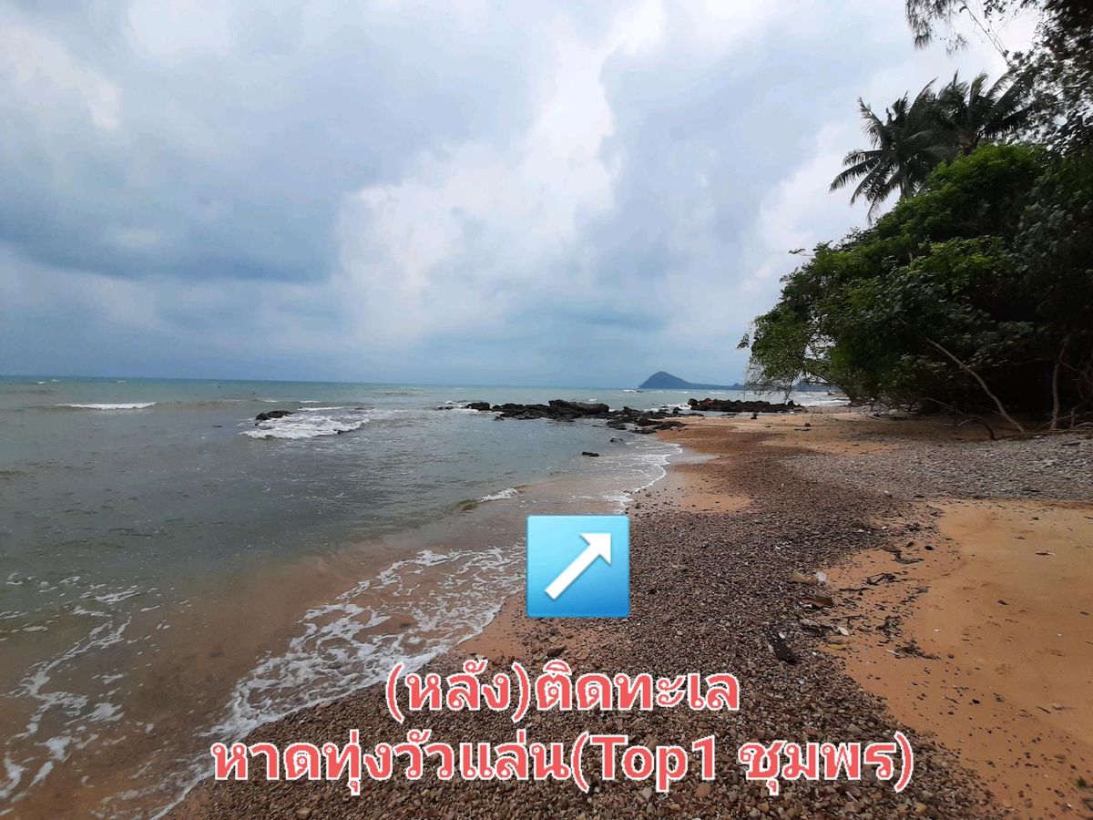 ขายที่ดินชุมพร : ที่ดินชุมพรติดทะเลหาดทุ่งวัวแล่น
(หาดTop1จ.ชุมพร) เนื้อที่ 8ไร่
ต.สะพลี อ.ปะทิว จ.ชุมพร