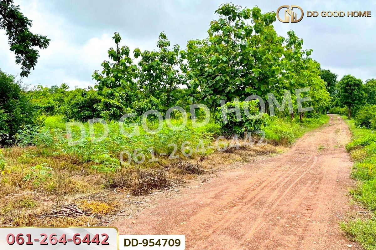 ขายที่ดินสระแก้ว : DD-954709 ที่ดินศาลาลำดวน 3 ไร่ 69.5 ตร.ว. สระแก้ว ใกล้โรงเรียนบ้านท่าช้าง