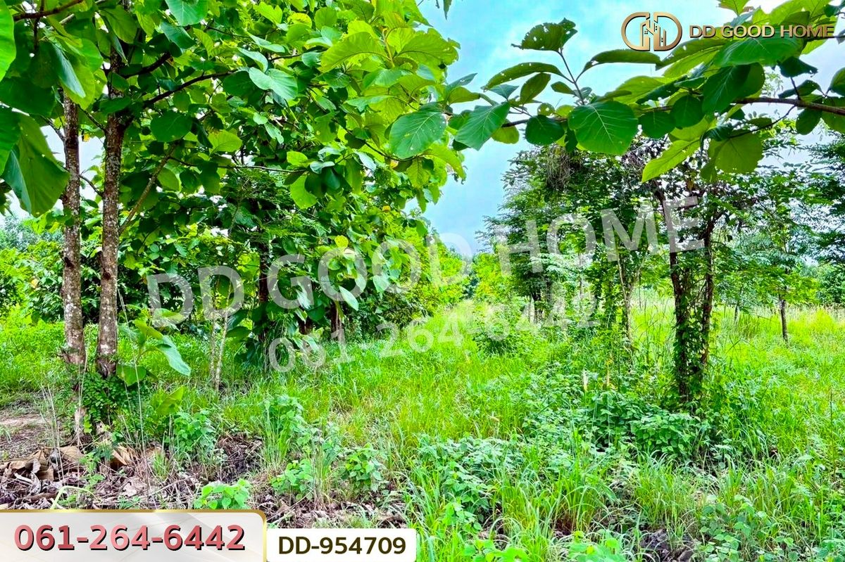 ขายที่ดินสระแก้ว : DD-954709 ที่ดินศาลาลำดวน 3 ไร่ 69.5 ตร.ว. สระแก้ว ใกล้โรงเรียนบ้านท่าช้าง