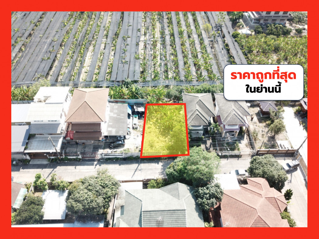 ขายที่ดินบางแค เพชรเกษม : ขาย ที่ดิน ถูกที่สุด ซ.เพชรเกษม 81 ขนาด 48 ตร.วา ใกล้ถ.บางบอน 5 แค่ 240 ม. TV