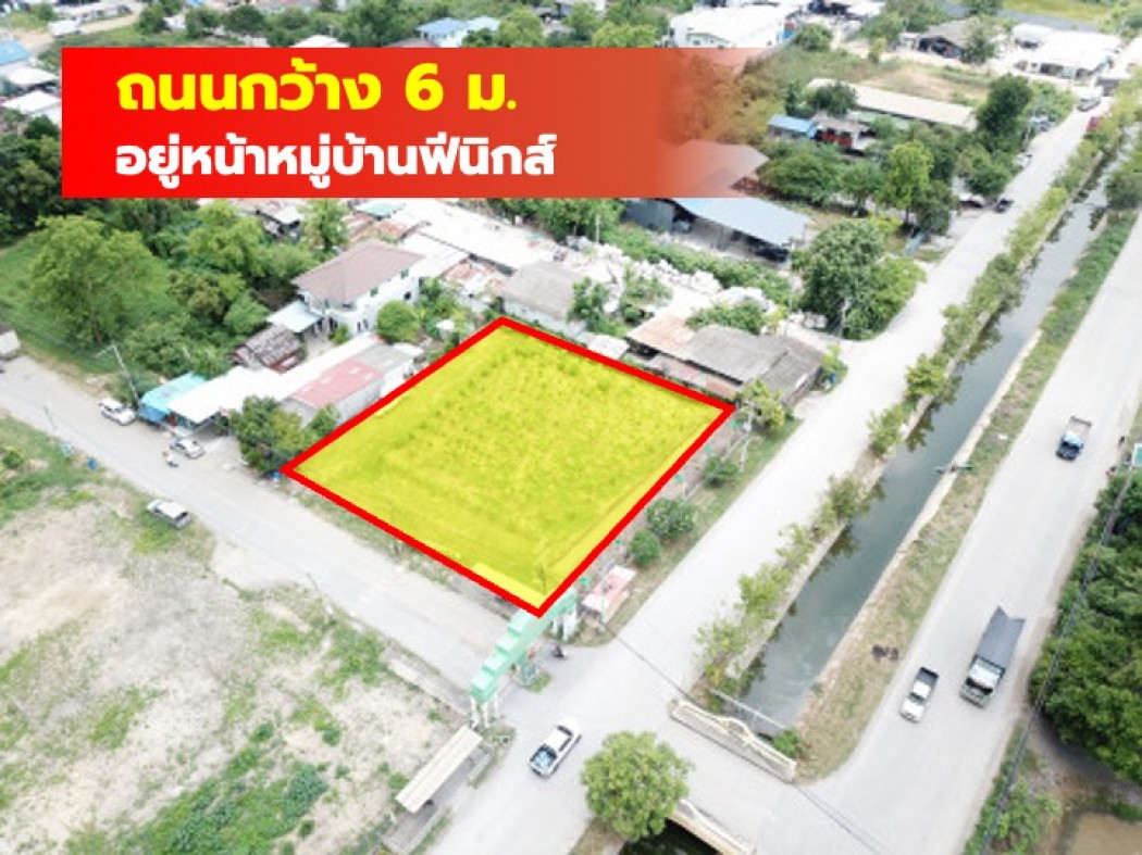 ขายที่ดินปทุมธานี รังสิต ธรรมศาสตร์ : ขาย ที่ดิน หมู่บ้านฟีนิกส์  คลอง2 คลองหลวง 372 ตรว เหมาะ สร้างบ้าน โกดัง สำนักงาน TV.
