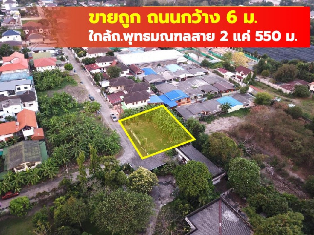 ขายที่ดินบางแค เพชรเกษม : ขาย ที่ดิน ถูกที่สุด ม.ธีราคร  160 ตรว ใกล้ถ.พุทธมณฑลสาย 2 แค่ 550 ม. TV