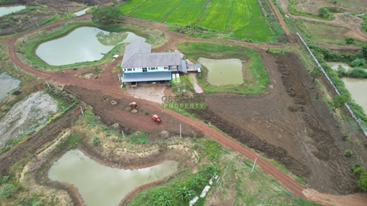 For SaleLandPhetchabun : Land for sale with Nong Phai Phetchabun residence on an area of ​​61 rai 1 ngan 17 square wah, suitable for a resort farm, Ban Suan Phatthana Land