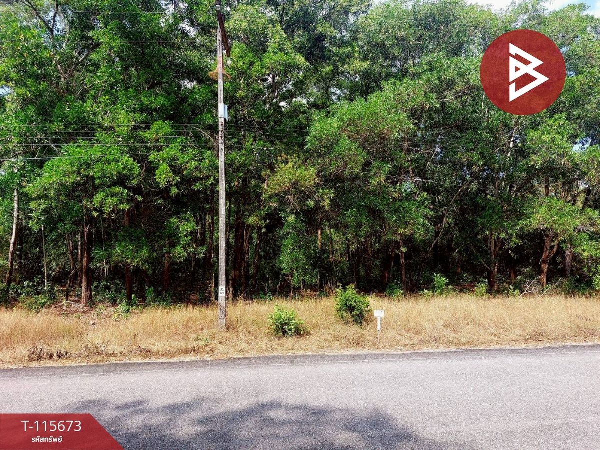 ขายที่ดินพังงา : ขายที่ดิน เนื้อที่ 4 ไร่ 3 งาน 92.5 ตร.วา ตะกั่วป่า พังงา