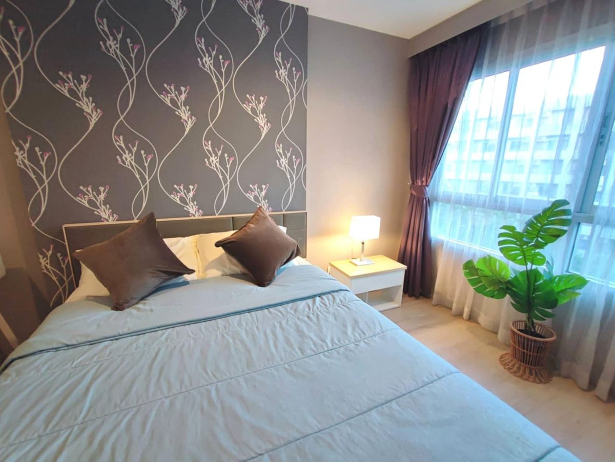 For RentCondoOnnut, Udomsuk : 🌿✨ Rent Elio Del Ray (Sukhumvit 64) Building G floor, 6th floor, Pool View room & Resort style garden near BTS Punnawithi and Udomsuk ✨🌿
