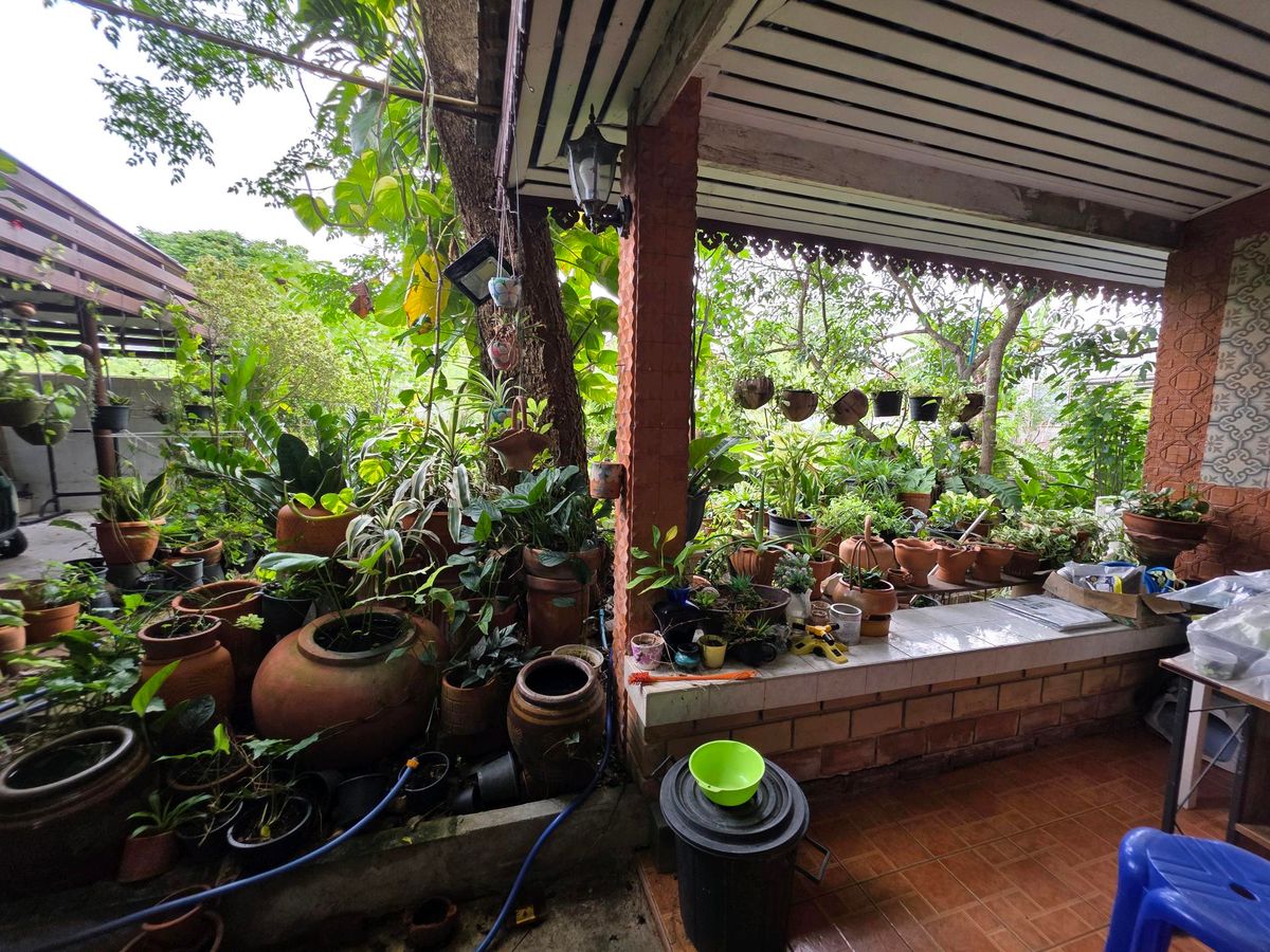 For SaleHouseSeri Thai, Ramkhamhaeng Nida : 2 storey detached house for sale 98 sq. W.