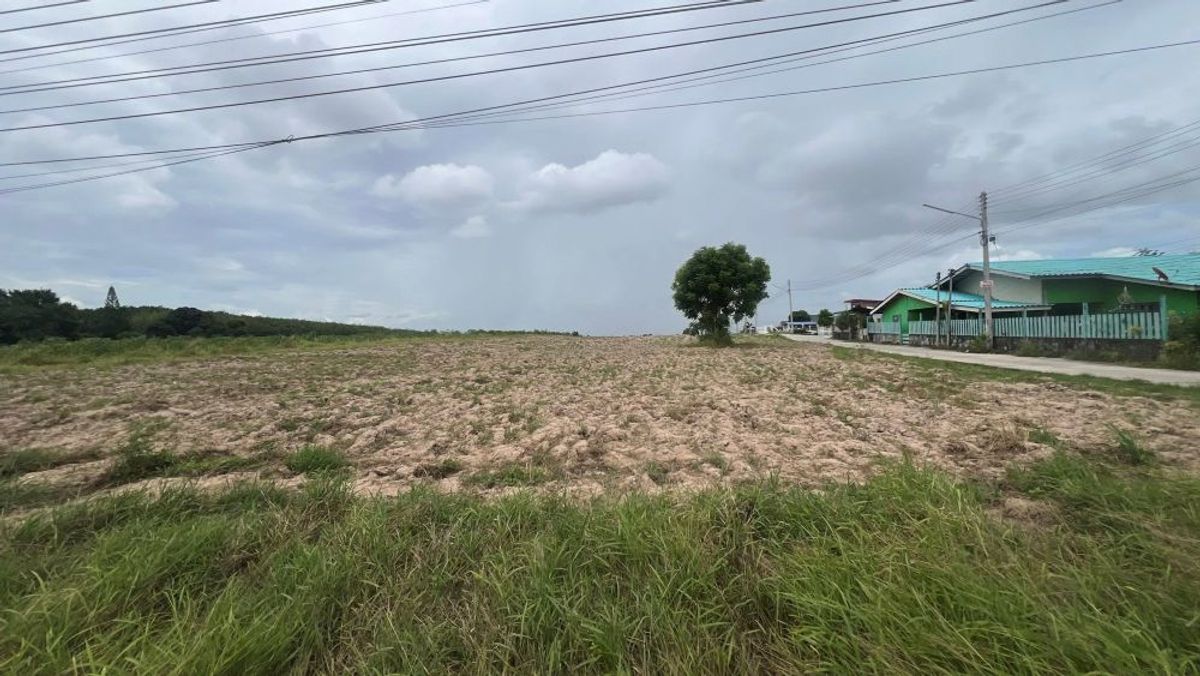 ขายที่ดินระยอง : ที่ดินสวย ทำเลทอง ติดถนน ซอย13 นิคมพัฒนา ระยอง 12 ไร่