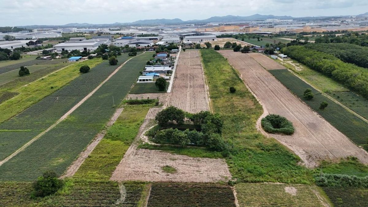 ขายที่ดินระยอง : ที่ดินสวย ทำเลทอง ติดถนน ซอย13 นิคมพัฒนา ระยอง 12 ไร่