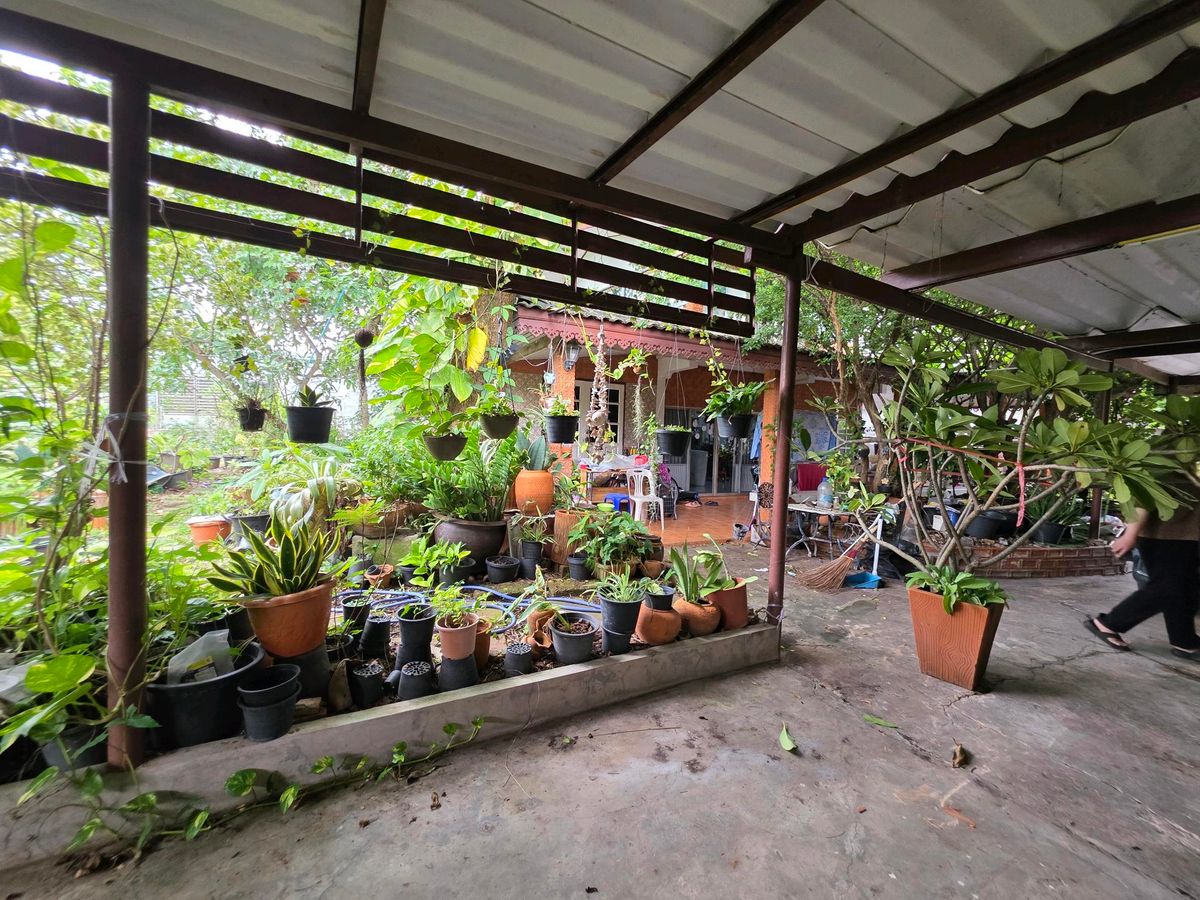 For SaleHouseSeri Thai, Ramkhamhaeng Nida : 2 storey detached house for sale 98 sq. W.