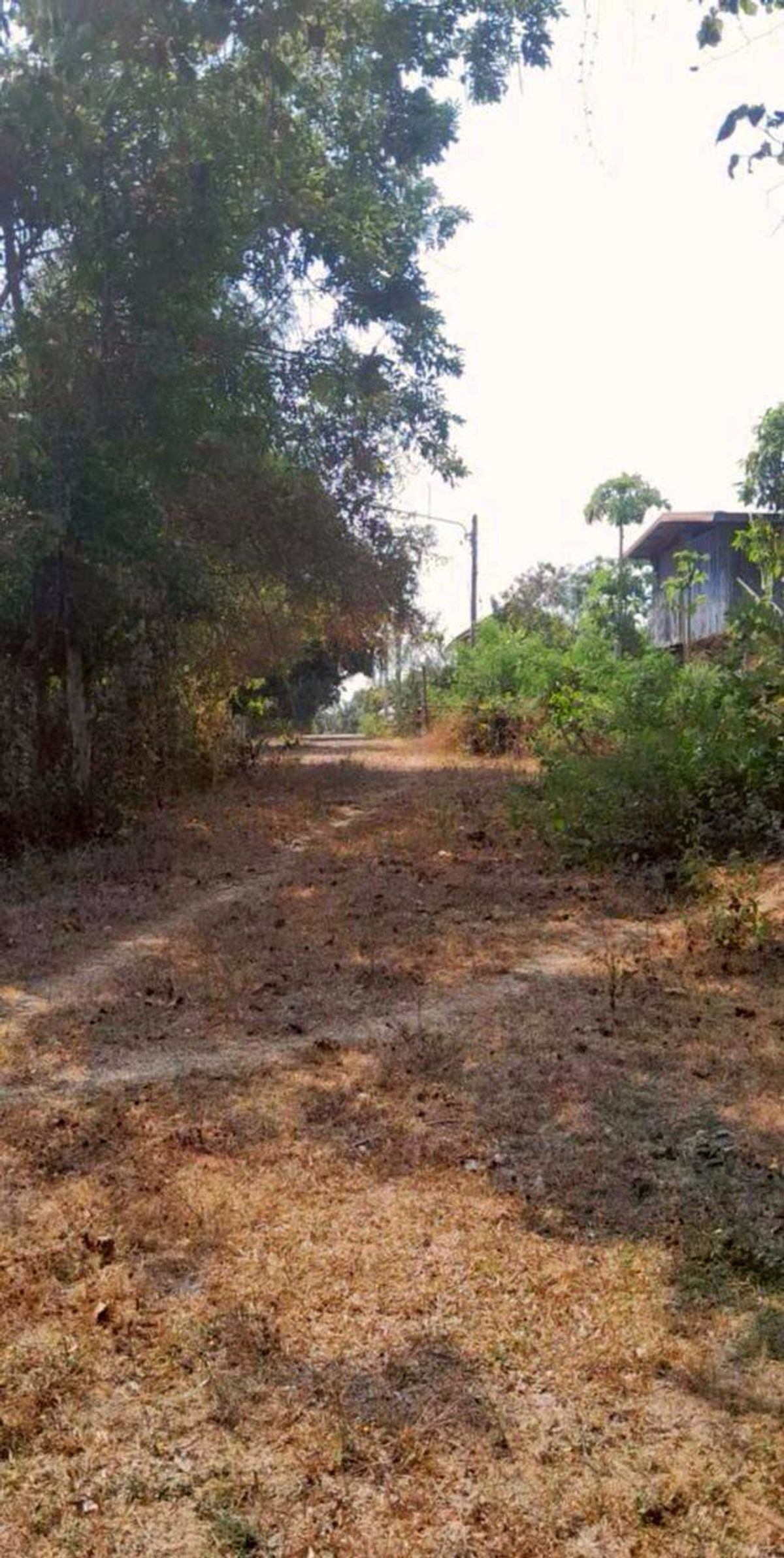 ขายที่ดินอุดรธานี : ขายที่ดินเมืองอุดรธานี ที่ดินติดน้ำ ติดห้วยสาธารณะ บ้านโนนพัฒนา สะแบง หนองหาน อุดรธานี วัดอ่าวนาราม  โรงเรียนบ้านสะแบง โรงพยาบาล หนองหาน