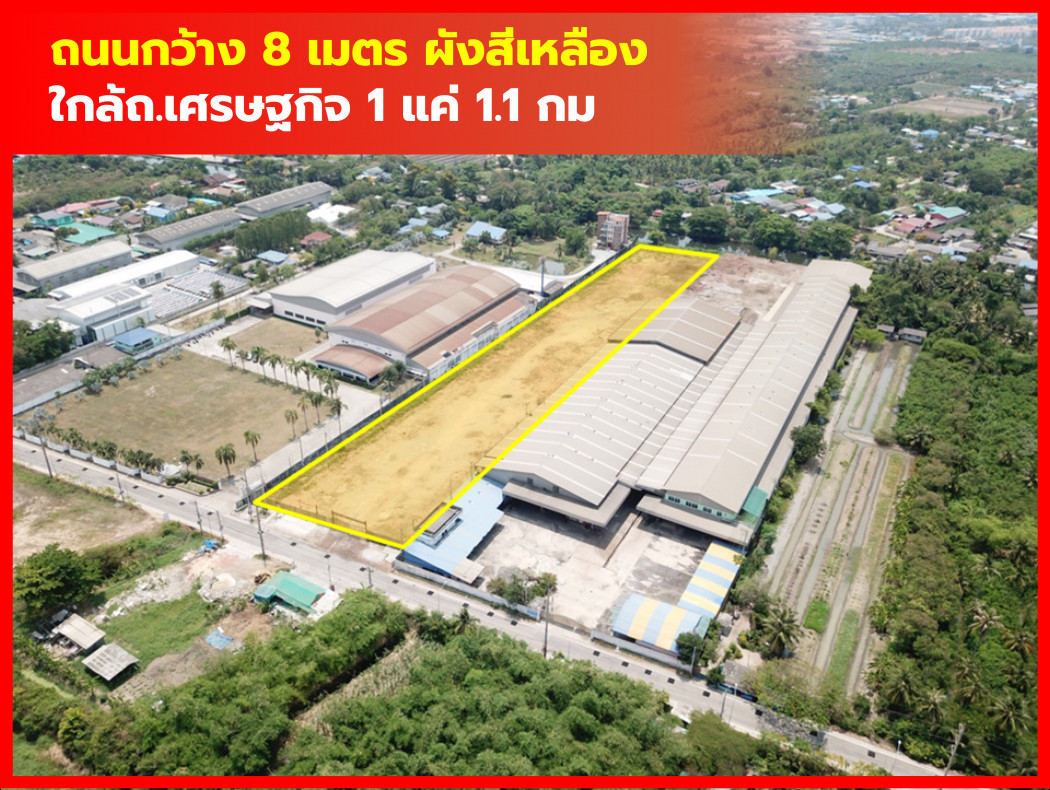 ขายที่ดินมหาชัย สมุทรสาคร : ขาย ที่ดิน ผังสีเหลือง ต.สวนหลวง กระทุ่มแบน 7 ไร่กว่า ใกล้ ถ.เศรษฐกิจ 1 แค่ 1.1 กม. KK