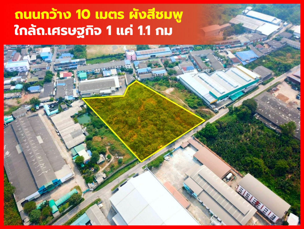 ขายที่ดินมหาชัย สมุทรสาคร : ขาย ที่ดิน ผังสีชมพู ต.ท่าทราย เมืองสมุทรสาคร 4 ไร่ กว่า ใกล้ ถ.เศรษฐกิจ 1 แค่ 1.1 กม. KK