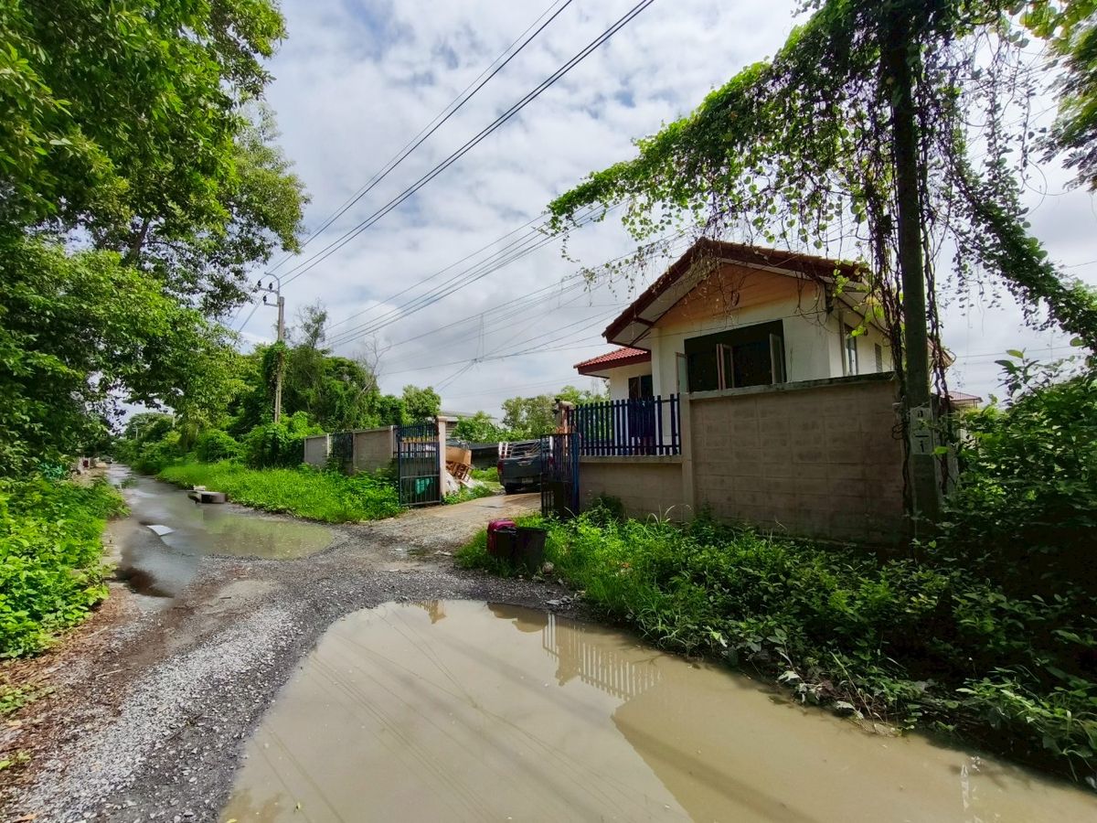 ขายบ้านนนทบุรี บางใหญ่ บางบัวทอง : บ้านเดี่ยว 1 ชั้น พร้อมที่ดิน  ซอยวัดคลองตาคล้าย ใกล้สถานีอนามัยคลองตาคล้าย ถนนบางกรวย-ไทรน้อย ต.บางบัวทอง อ.บางบัวทอง จ.นนทบุรี