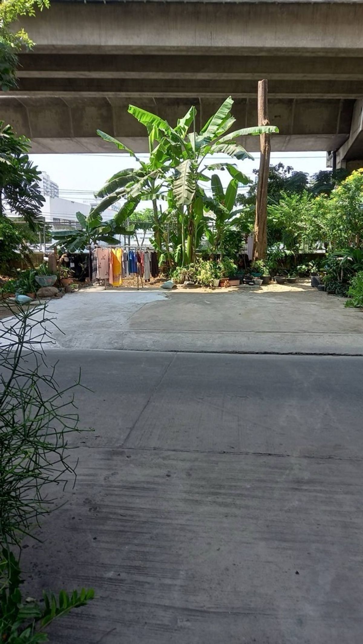 ขายที่ดินราชเทวี พญาไท : 📢👇ที่ดิน ในเมือง ใกล้แหล่งชุมชนเข้าออกได้หลายทาง ใกล้จุดขึ้นลงทางด่วน 