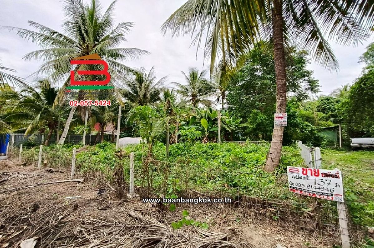 ขายที่ดินราชบุรี : ที่ดินเปล่า ท่านัด-ดำเนินสะดวก เนื้อที่ 137 ตร.ว (ใกล้โรงพยาบาลส่งเสริมสุขภาพตำบลท่านัด) ตำบลท่านัด อำเภอดำเนินสะดวก จังหวัดราชบุรี
