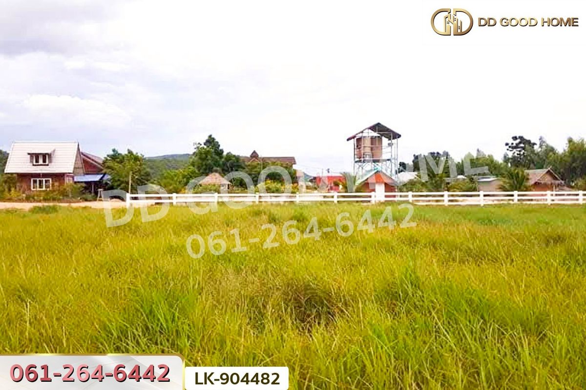 ขายที่ดินลพบุรี : NI-904482 ที่ดินพัฒนานิคม 2 ไร่ ลพบุรี ใกล้เขาพระยาเดินธง