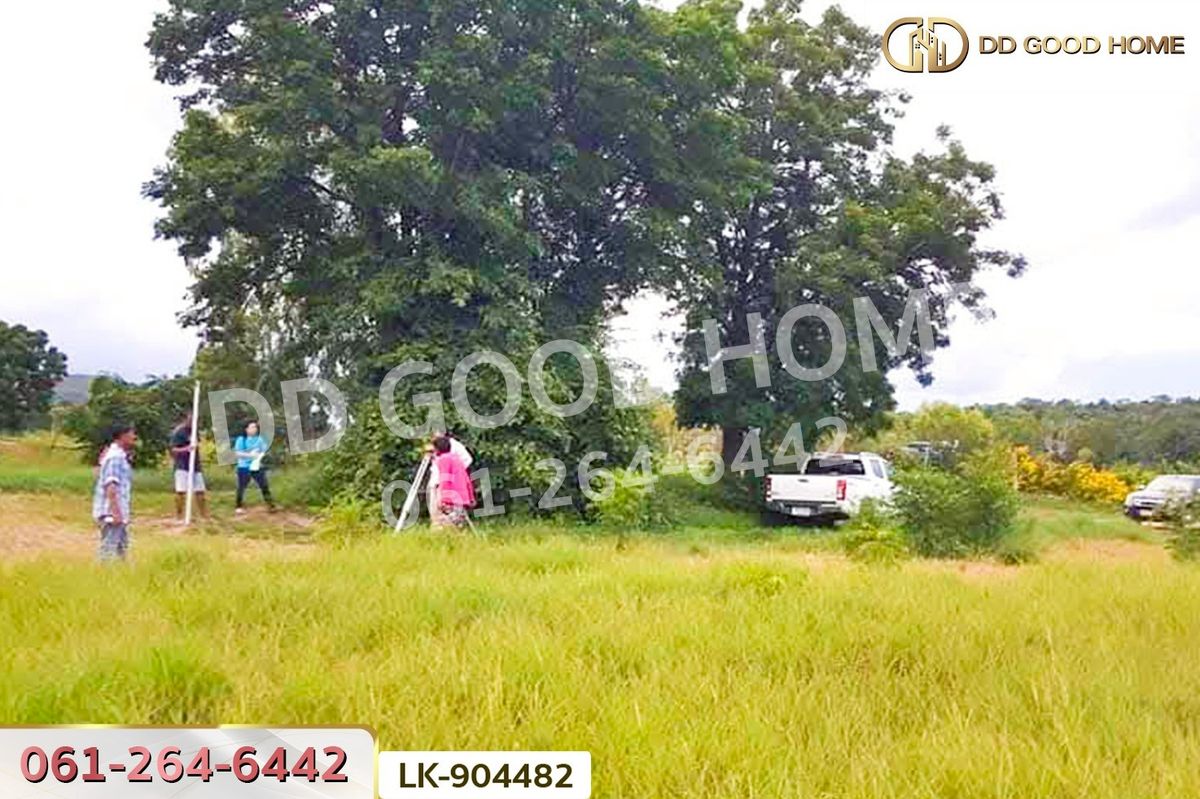 ขายที่ดินลพบุรี : NI-904482 ที่ดินพัฒนานิคม 2 ไร่ ลพบุรี ใกล้เขาพระยาเดินธง