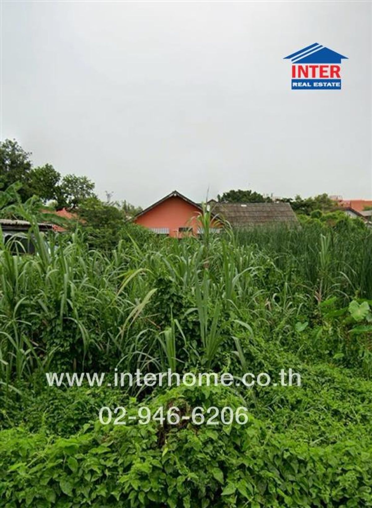 For SaleLandKasetsart, Ratchayothin : Vacant land 127.3 sq.w. Land, Soi Phahonyothin 55 Near Phra Si Mahathat Temple, Phahonyothin Road, Phahonyothin Road 55, Bang Khen District, Bangkok