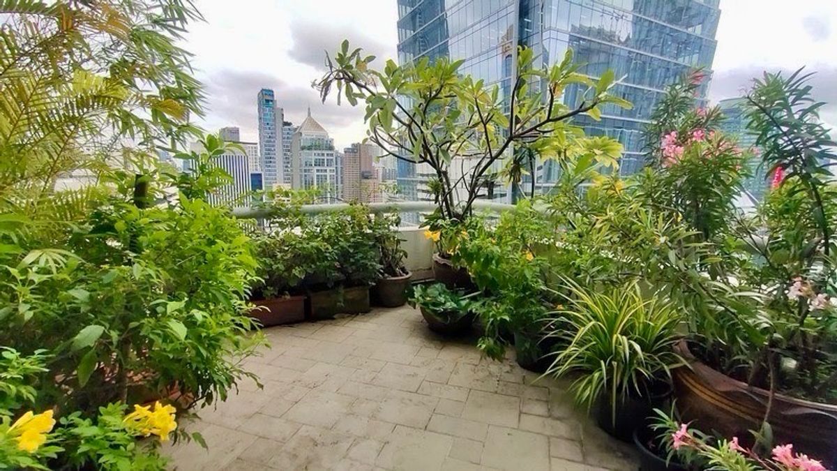 ขายคอนโดวิทยุ ชิดลม หลังสวน : 📢👇 เพนท์เฮาส์ดูเพล็กซ์สุดพิเศษ หายากมากในตลาด!ที่พักอาศัยที่มีเอกลักษณ์เฉพาะตัว พร้อมพื้นที่ใช้สอยกว้างขวาง บรรยากาศส่วนตัวและเงียบสงบ แต่สามารถเดินถึงศูนย์การค้าหรูและร้านอาหารชั้นนำได้ในไม่กี่ก้าว เหมาะสำหรับนักลงทุน ครอบครัว