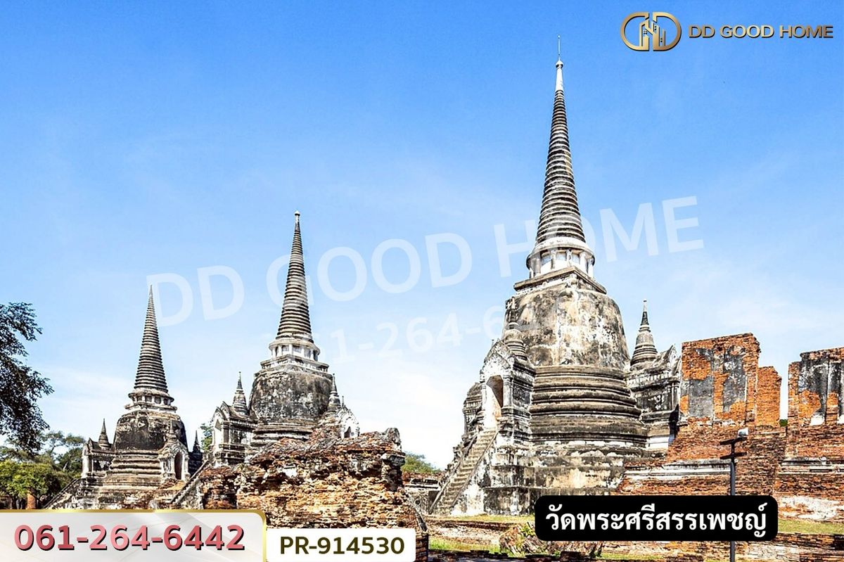 ขายที่ดินอยุธยา : WR-914530 ที่ดินวัดตูม 1 ไร่ 211 ตร.ว. พระนครศรีอยุธยา ใกล้วัดท่าโขลง