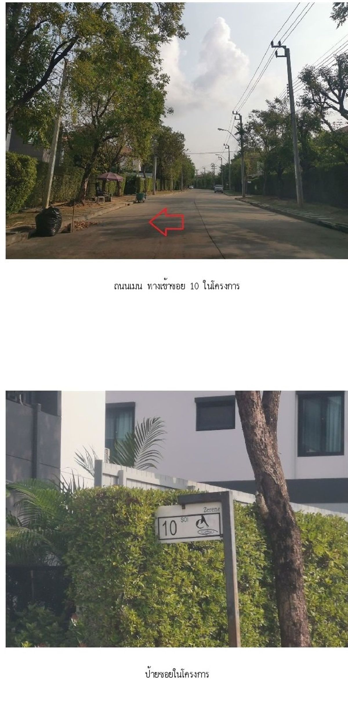 ขายบ้านพระราม 2 บางขุนเทียน : ขาย บ้านเดี่ยว ชีรีน พระราม 2-ท่าข้าม 54.30 ตร.ว. 4นอน 3นอน บางขุนเทียน กรุงเทพ 🔥ฟรีโอน🔥