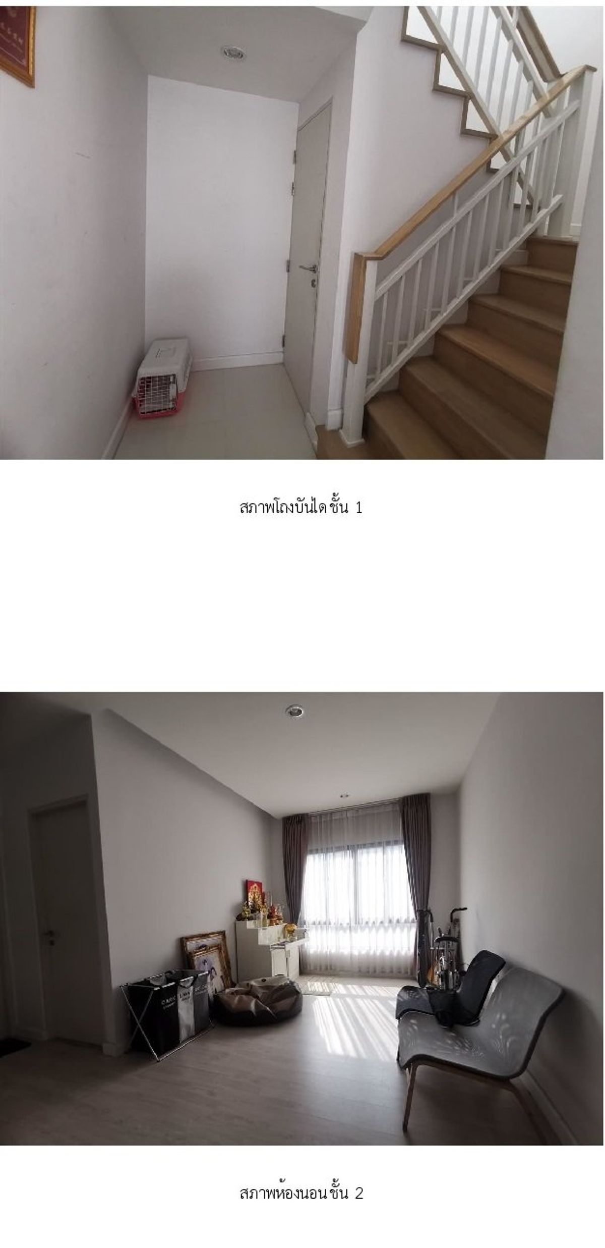 ขายบ้านพระราม 2 บางขุนเทียน : ขาย บ้านเดี่ยว ชีรีน พระราม 2-ท่าข้าม 54.30 ตร.ว. 4นอน 3นอน บางขุนเทียน กรุงเทพ 🔥ฟรีโอน🔥