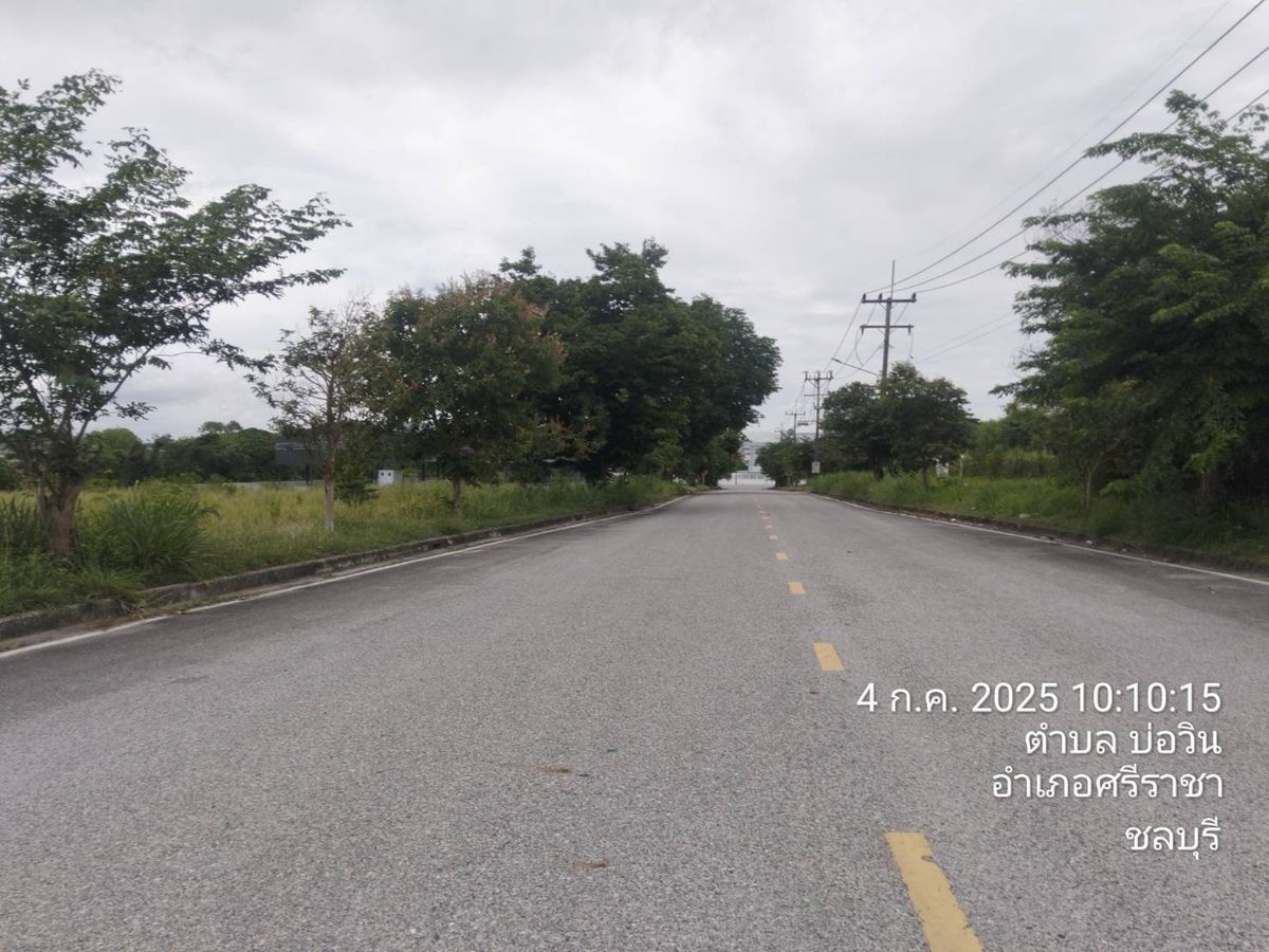 ขายที่ดินพัทยา บางแสน ชลบุรี สัตหีบ : 📍 ขายที่ดิน | ตั้งอยู่ในนิคมอุตสาหกรรม