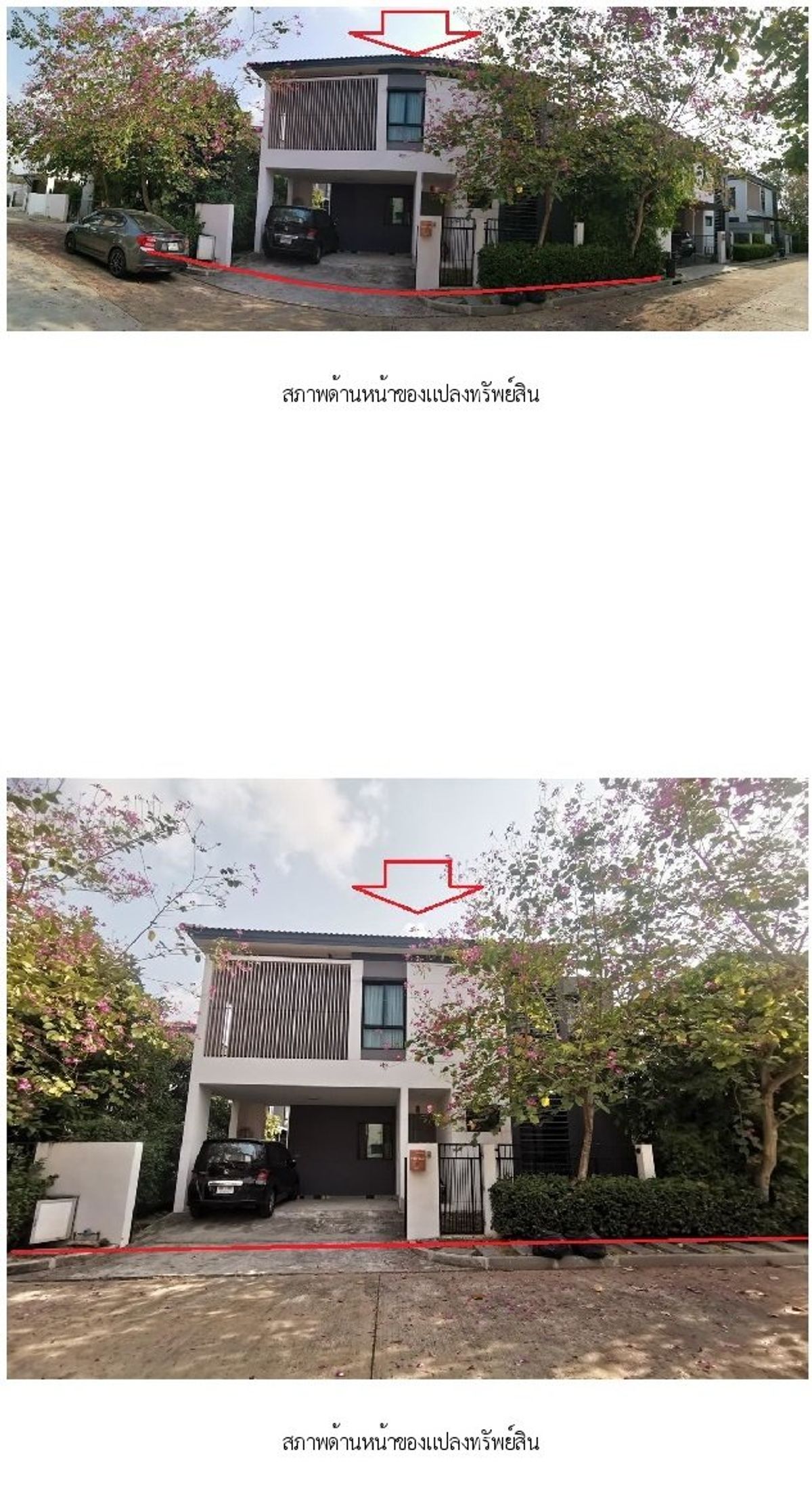 ขายบ้านพระราม 2 บางขุนเทียน : ขาย บ้านเดี่ยว ชีรีน พระราม 2-ท่าข้าม 54.30 ตร.ว. 4นอน 3นอน บางขุนเทียน กรุงเทพ 🔥ฟรีโอน🔥