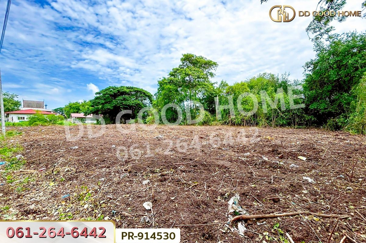 ขายที่ดินอยุธยา : WR-914530 ที่ดินวัดตูม 1 ไร่ 211 ตร.ว. พระนครศรีอยุธยา ใกล้วัดท่าโขลง