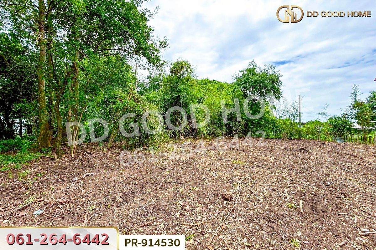 ขายที่ดินอยุธยา : WR-914530 ที่ดินวัดตูม 1 ไร่ 211 ตร.ว. พระนครศรีอยุธยา ใกล้วัดท่าโขลง