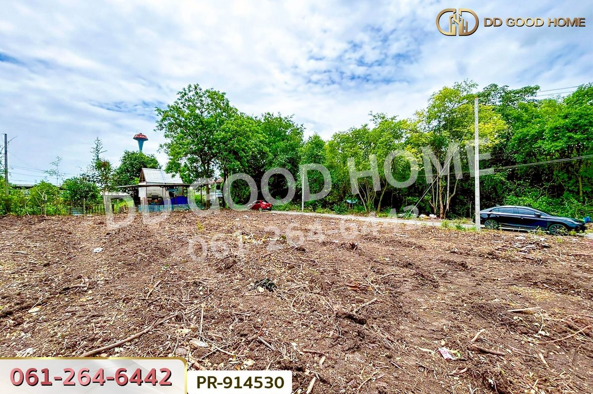 ขายที่ดินอยุธยา : WR-914530 ที่ดินวัดตูม 1 ไร่ 211 ตร.ว. พระนครศรีอยุธยา ใกล้วัดท่าโขลง