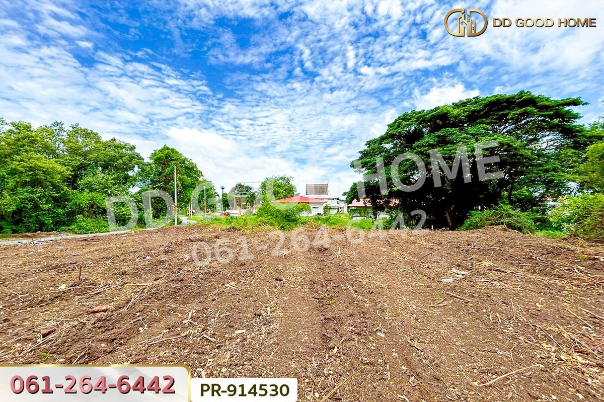 ขายที่ดินอยุธยา : WR-914530 ที่ดินวัดตูม 1 ไร่ 211 ตร.ว. พระนครศรีอยุธยา ใกล้วัดท่าโขลง