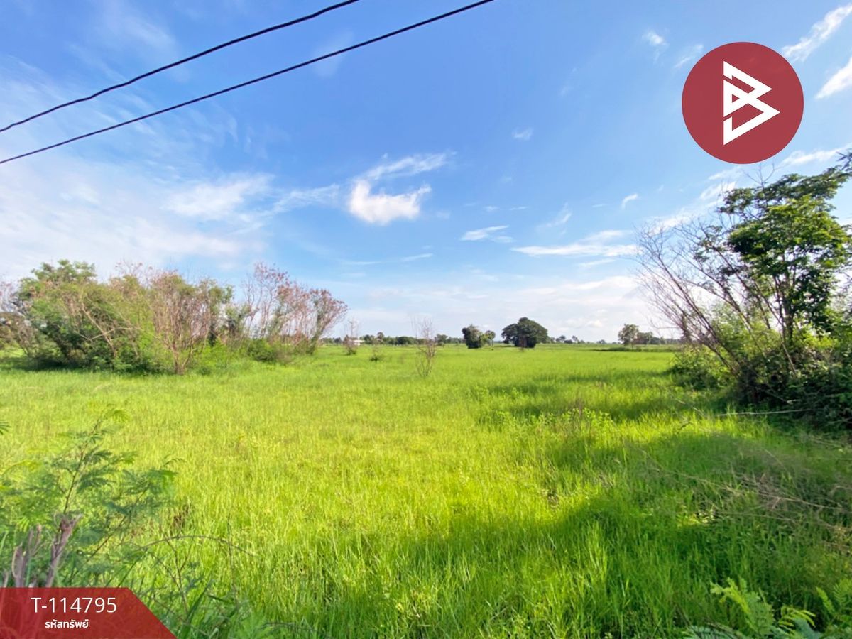 For SaleLandKhon Kaen : Land for sale in an area of ​​6 rai 1.0 sq.w. Ban Fang Khon Kaen