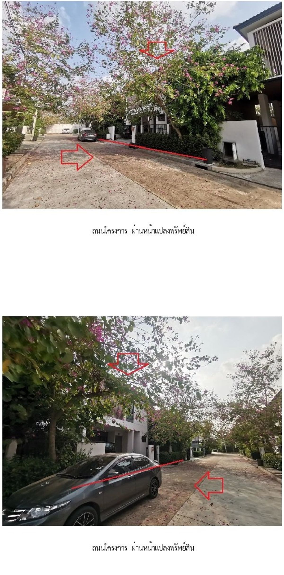 ขายบ้านพระราม 2 บางขุนเทียน : ขาย บ้านเดี่ยว ชีรีน พระราม 2-ท่าข้าม 54.30 ตร.ว. 4นอน 3นอน บางขุนเทียน กรุงเทพ 🔥ฟรีโอน🔥