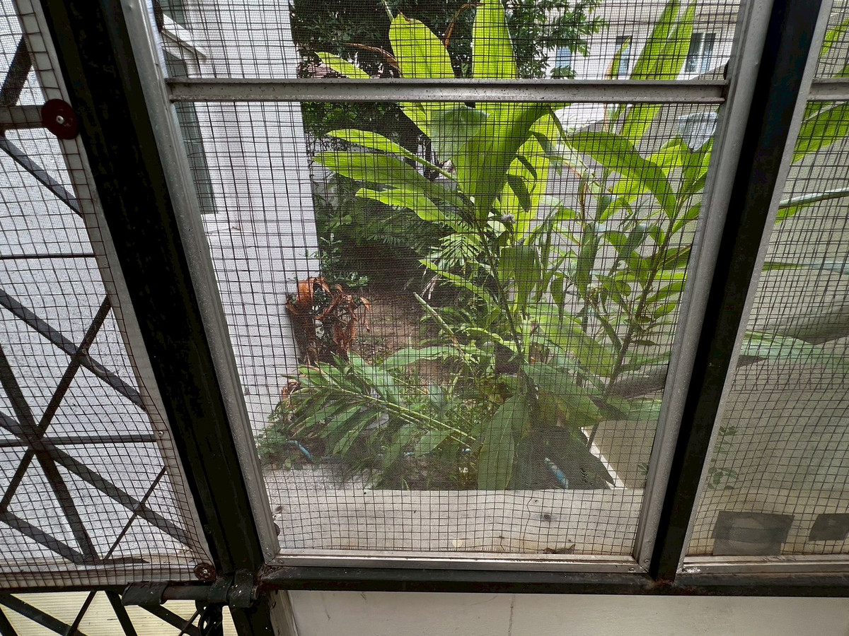 For RentHouseChaengwatana, Muangthong : house, 3 bedrooms, 3 bathrooms, close to HomePro Pakkret, near ISB International School.