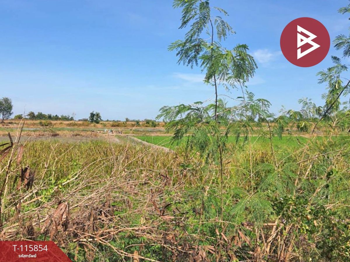ขายที่ดินปทุมธานี รังสิต ธรรมศาสตร์ : ขายด่วนที่ดินจัดสรร เนื้อที่ 100 ตารางวา ลำลูกกา-คลอง 11 ปทุมธานี