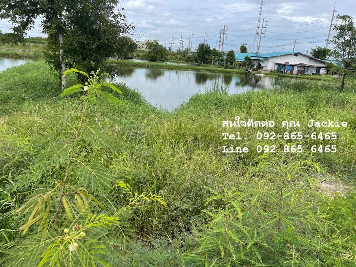 ขายโรงงานพัทยา บางแสน ชลบุรี สัตหีบ : ขายที่ดินเปล่า โฉนดครุฑแดง ติดนิคมอมตะซิตี้ชลบุรี (ผังสีม่วงอ่อนจุดขาว)