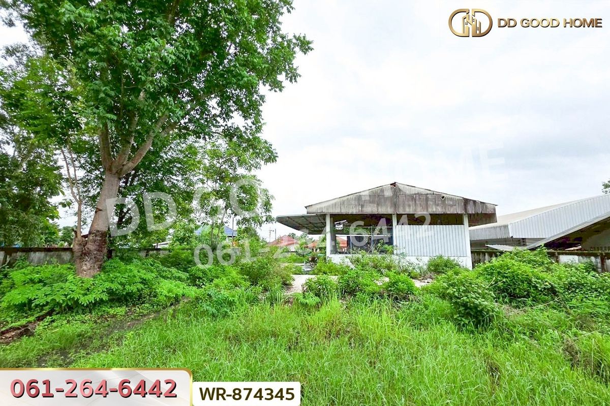 ขายที่ดินตาก : WR-874345 ที่ดินแม่สอด 2 ไร่ 40.3 ตร.ว. ตาก ใกล้โรบินสัน แม่สอด