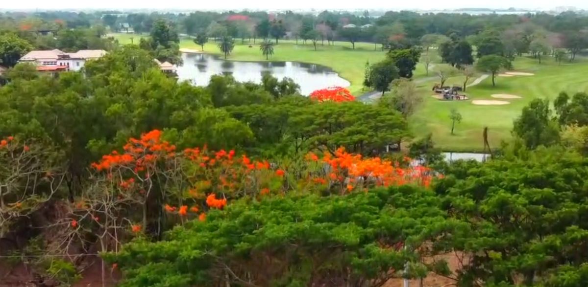 For SaleLandLadkrabang, Suwannaphum Airport : Beautiful plot of land for the Royal Golf and Country Club, near Suvarnabhumi Airport, area of ​​2-0-33 rai @ 15 deleted per rai.
